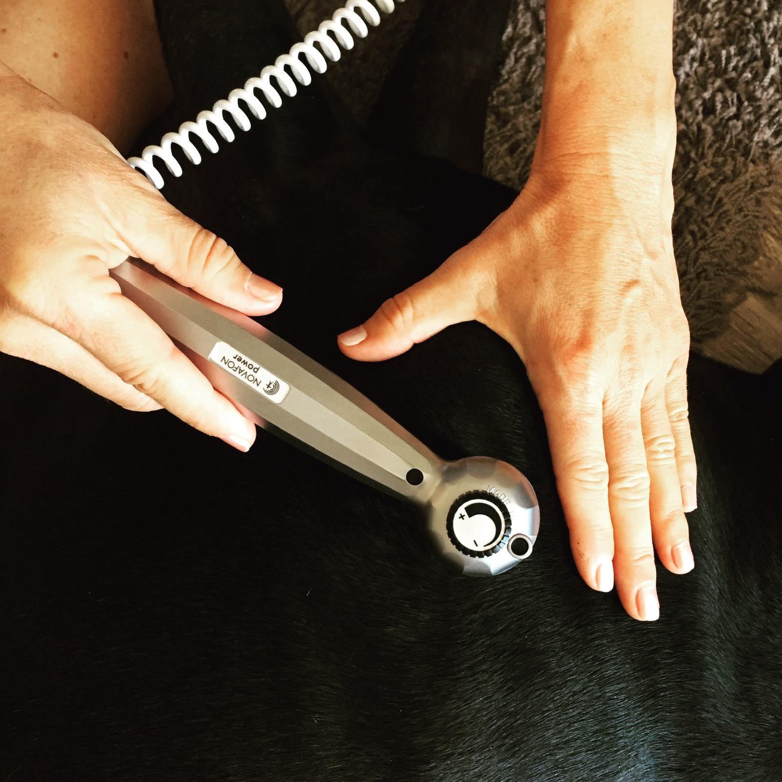 WhatsApp Image 2020-09-06 at 20.35.48