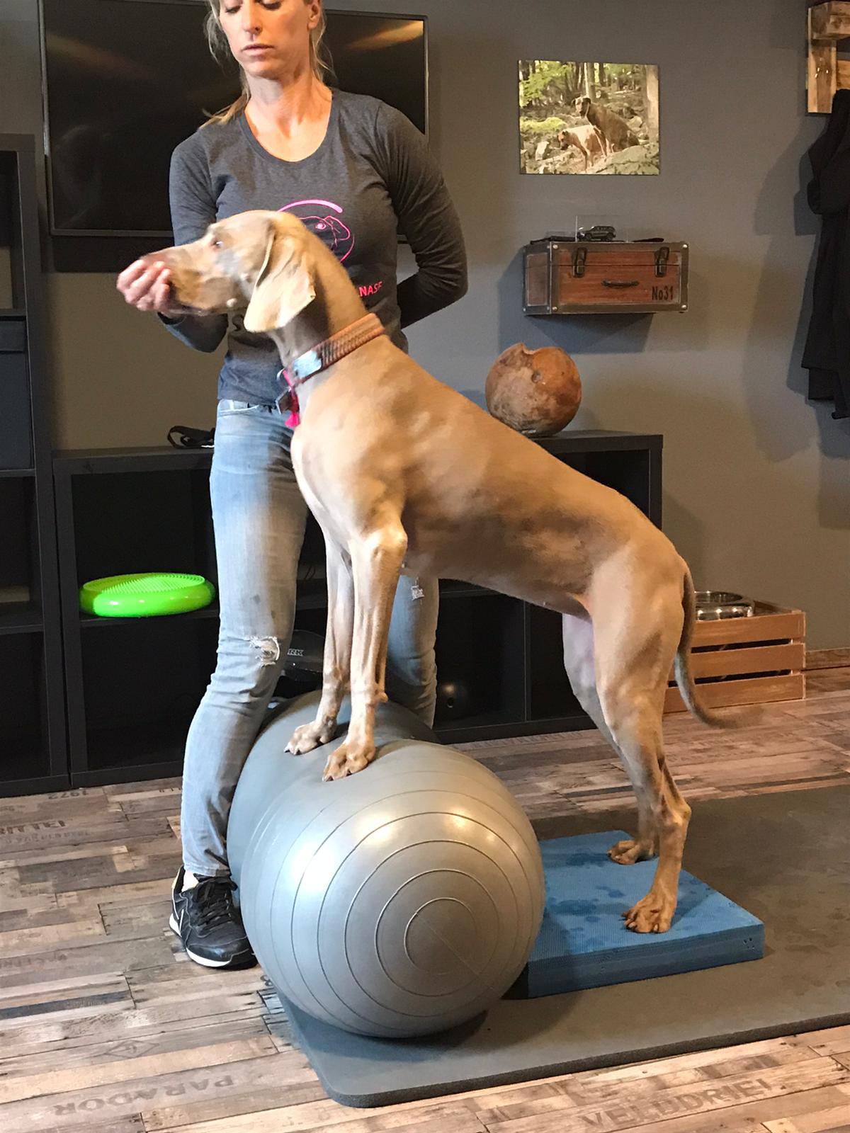 WhatsApp Image 2020-09-06 at 20.35.49